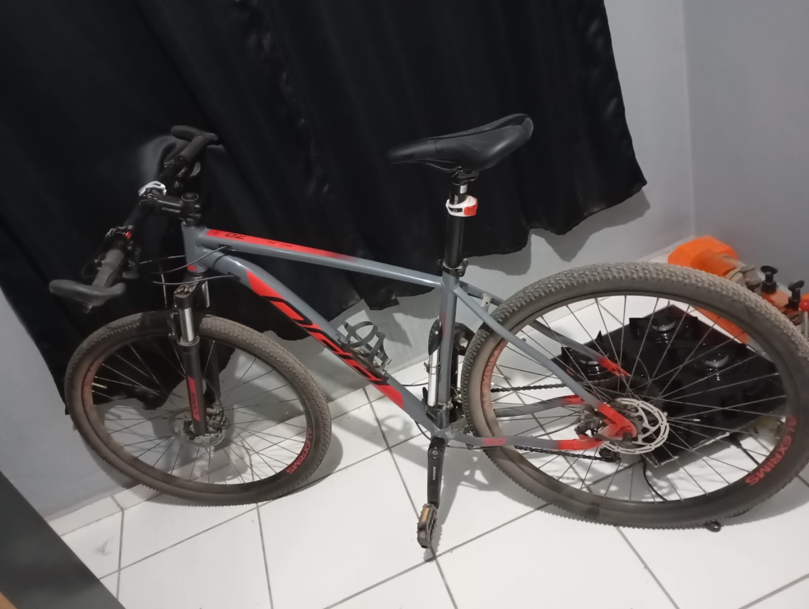 Bike Oggy